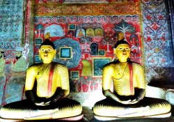 Car Hire Dambulla